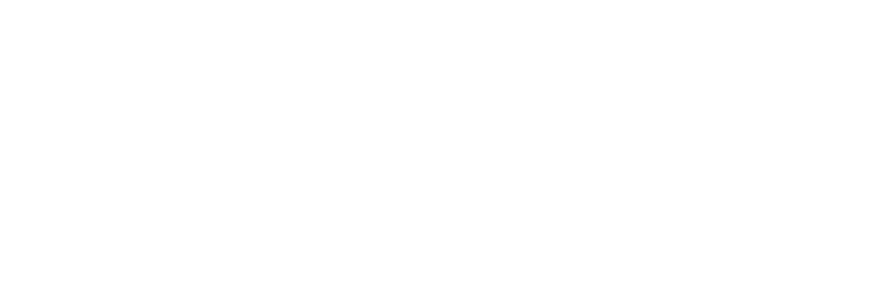 ansys logo