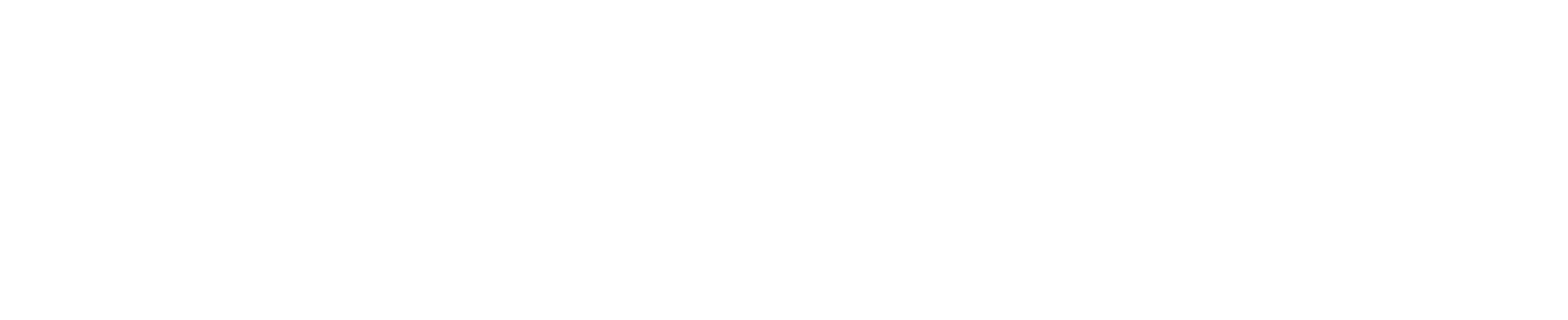 bergelectric seeklogo