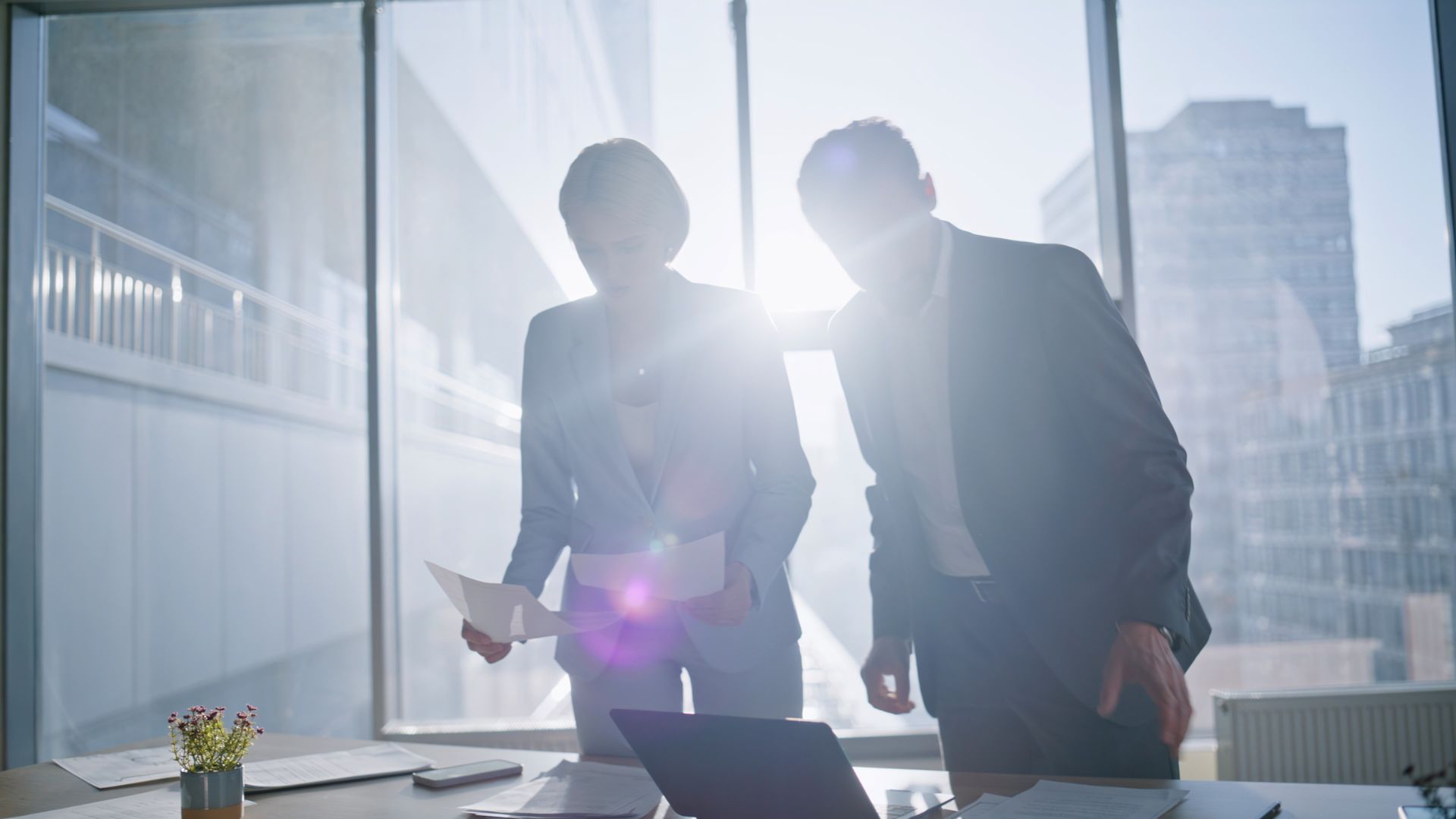 software developer working dual monitor desk